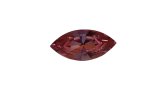 15×7mm:Art.300 Gold Rose