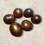 ＜6個＞10~12×10mm　バロック型淡水パール　（ブラウン）