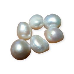 画像1: ＜6個＞10~12×10mm　バロック型淡水パール　（ホワイト）
