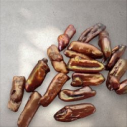 画像4: ＜2個＞＞20~22×7~9mm　淡水琵琶パール（ブラウン）　