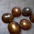 画像2: ＜6個＞10~12×10mm　バロック型淡水パール　（ブラウン）